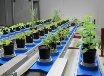 PlantScreen大型版植物表型成像分析系統(tǒng)（二）