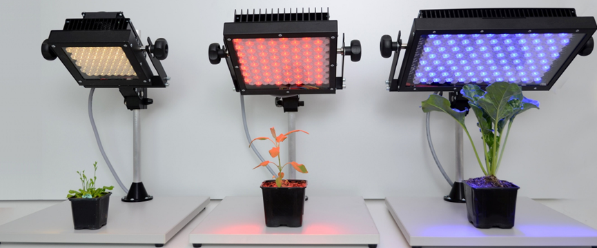 SL3500 智能LED光源